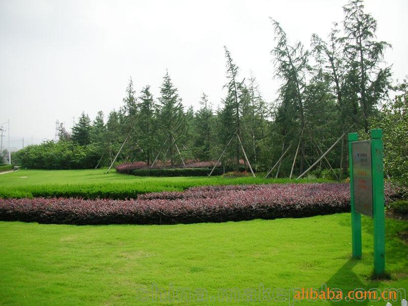 承攬綠化工程、園林施工、園林綠化工程養(yǎng)護(hù)