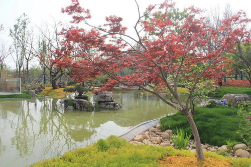 解讀園林綠化施工全過程,教你如何成為綠化行業大佬