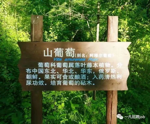 難得一見(jiàn)的園林綠化施工過(guò)程全記錄