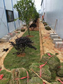 南昌自建房周邊綜合工程施工要點與注意事項