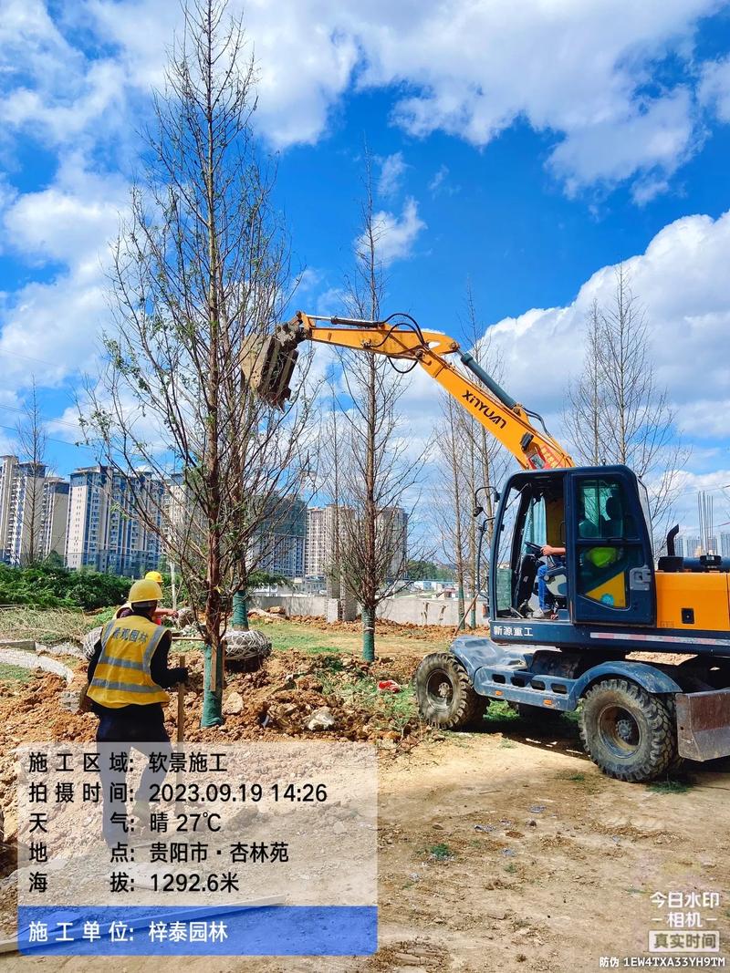 城市綠意的守護(hù)者 園林綠化工程苗木人的施工紀(jì)實(shí)